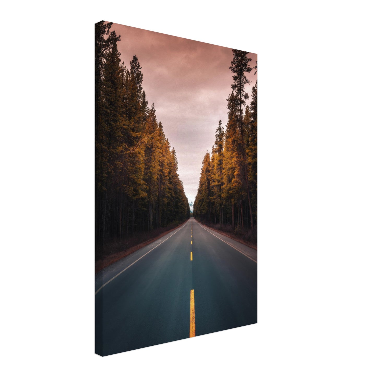 Roadtrippin - Canvas