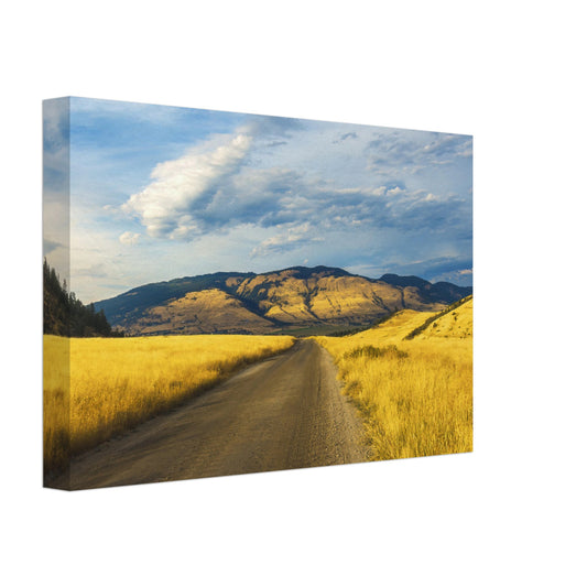 Fields of Gold - Canvas