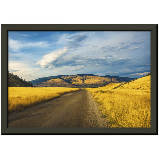 Fields of Gold - Museum-Quality Matte Paper Metal Framed Poster