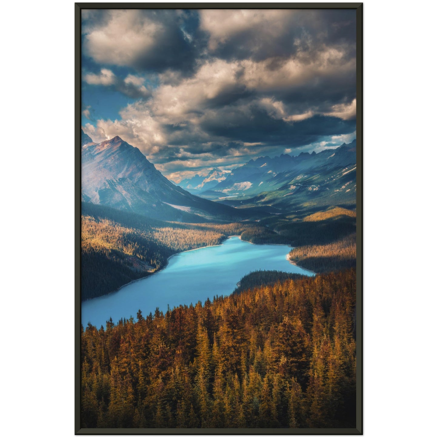 Wolf Lake - Museum-Quality Matte Paper Metal Framed Poster