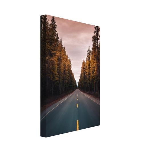 Roadtrippin - Canvas