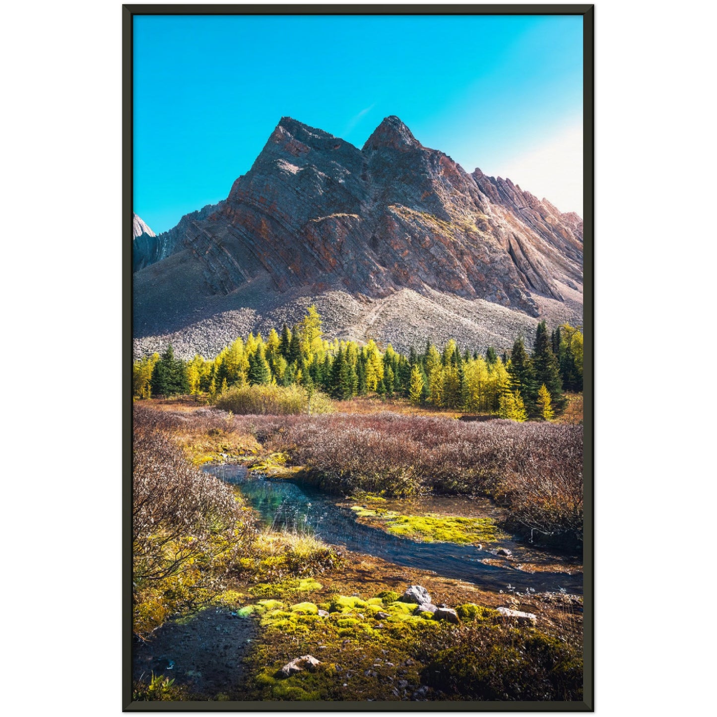 Larch Tree Lane - Museum-Quality Matte Paper Metal Framed Poster